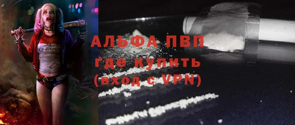 прущие грибы Верхнеуральск