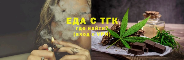 гидра Верхний Тагил