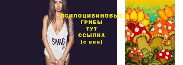 прущие грибы Верхнеуральск