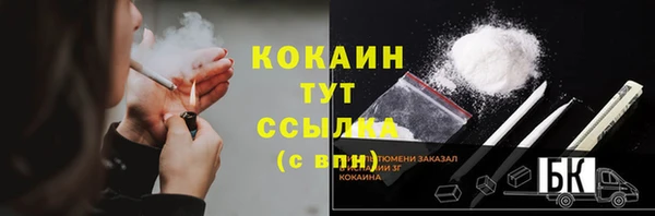 гидра Верхний Тагил