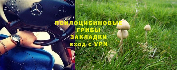 гидра Верхний Тагил