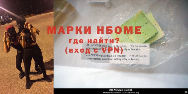 прущие грибы Верхнеуральск