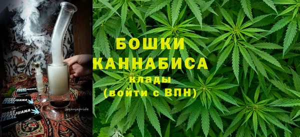 прущие грибы Верхнеуральск